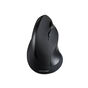 Mouse sem Fio USB Multilaser Ergonômico MO284 - Preto