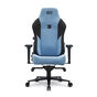 Cadeira Gamer 13548-1 Sports Nero Cloud V2 DT3 - Azul e Preto