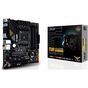 Kit Upgrade AMD Ryzen 5 5600G - Placa Mãe Asus TUF Gaming B550M-Plus - Memória 8GB 3000MHz