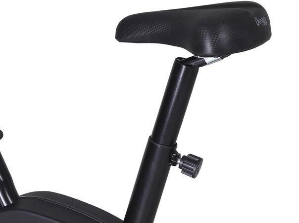 Bicicleta Ergométrica Dream Fitness Max V Magnética Níveis de Esforço image number null